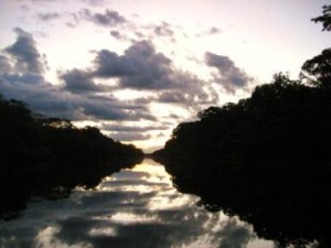 Theforestofmirrors Luxury Amazon Cruises & Lodges, Aracari Travel