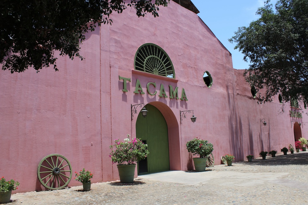 The Oldest Vineyard in Peru: Tacama, Ica, Aracari Travel