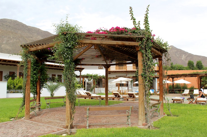 Tucked Away in the Vines: Las Viñas Queirolo Hotel in Ica, Aracari Travel