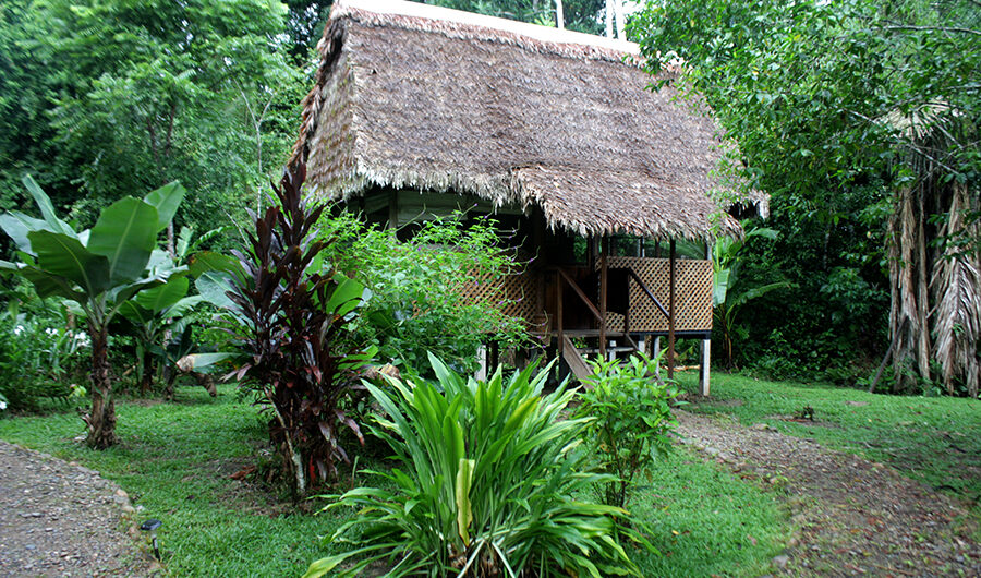 Manu Wildlife Center: A journey to deepest, darkest Peru, Aracari Travel