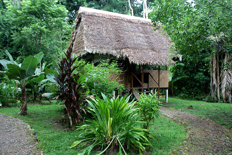 Manu Wildlife Center