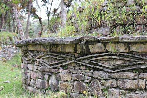 Chachapoyas Archaeology, Culture &amp; Wildlife, Aracari Travel