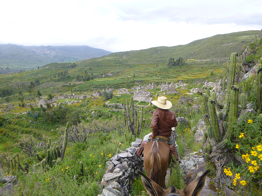 Horseriding in Colca Canyon, Aracari Travel