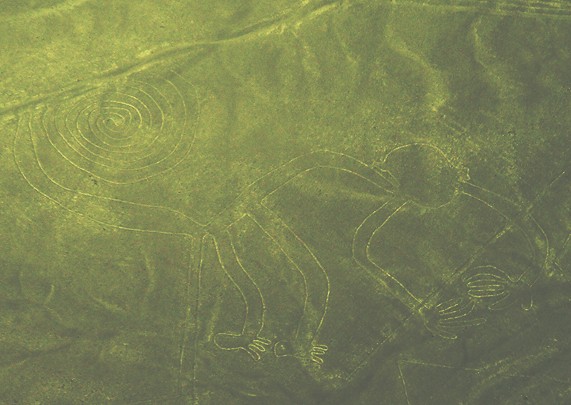Nazca Lines Flight to see the famous geoglyphs, Aracari Travel
