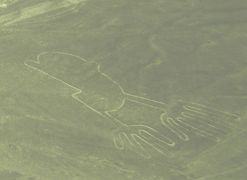Nazca Lines Flight to see the famous geoglyphs, Aracari Travel