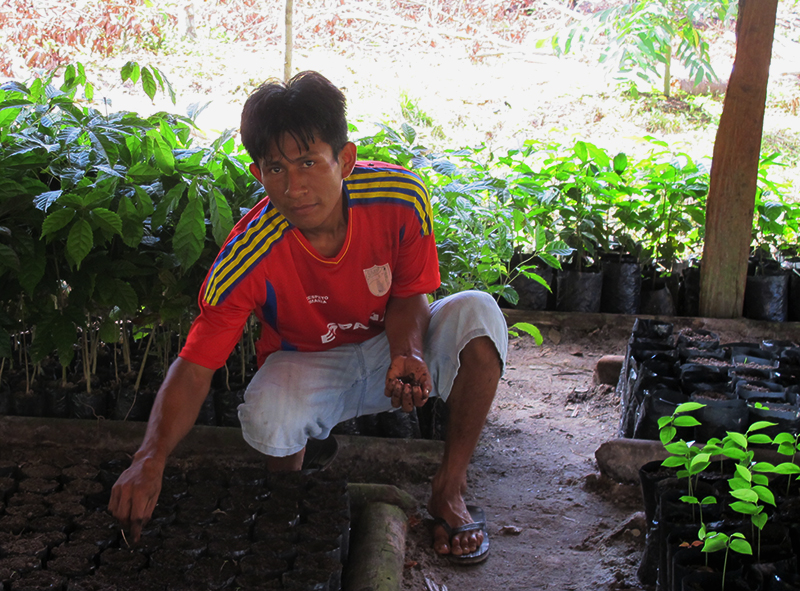 Plant your Future: Restoring the Amazon One Tree at a Time, Aracari Travel