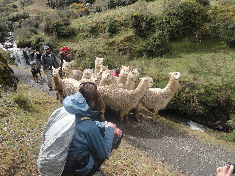 Two Day Lares Trek in Peru, Aracari Travel