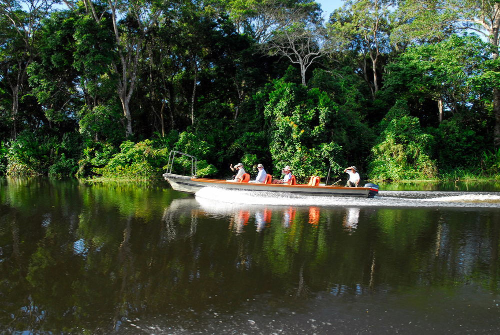 Luxury Amazon River Cruise with Delfin II, Aracari Travel