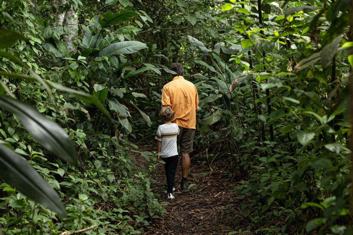 Delfin Amazon I Activities 