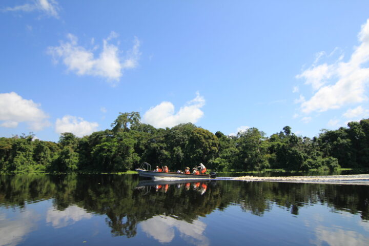 How to Plan a Trip to the Amazon: Our Expert Guide, Aracari Travel