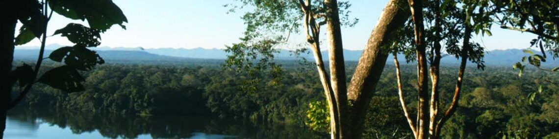 Trip Report: Madidi National Park, Aracari Travel