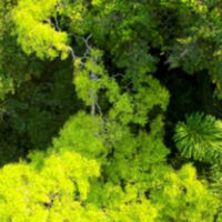 Luxury Hotels in Peru, Aracari Travel