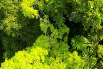 Posada Amazonas Header1