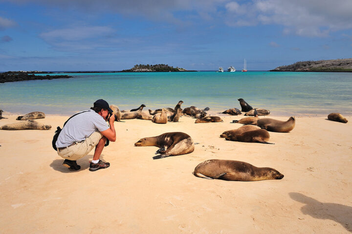 How to Plan a Trip to the Galapagos, Aracari Travel