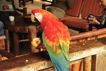 Luxury Hotels in Peru, Aracari Travel