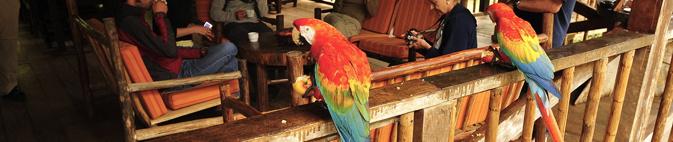 Free Ebook: A Guide to the Green Stays of Peru, Aracari Travel