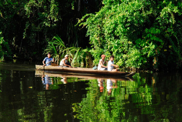 Best Time To Travel To Peru 2 Amazon Rainforest