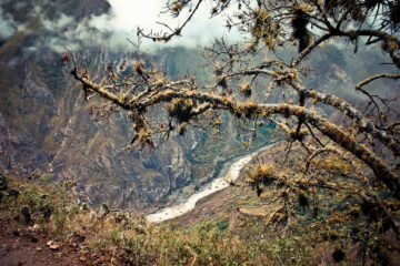 Peru Treks, Aracari Travel