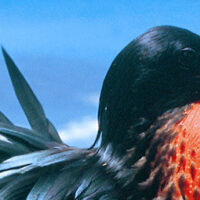 Luxury Hotels in Peru, Aracari Travel