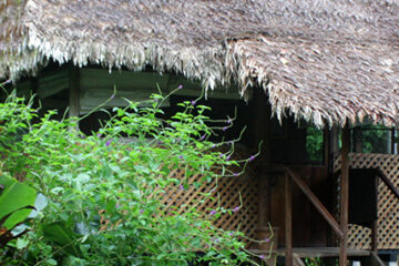 manu wildlife center featured