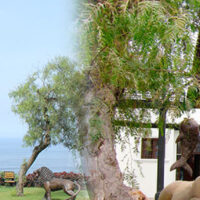 Luxury Hotels in Peru, Aracari Travel