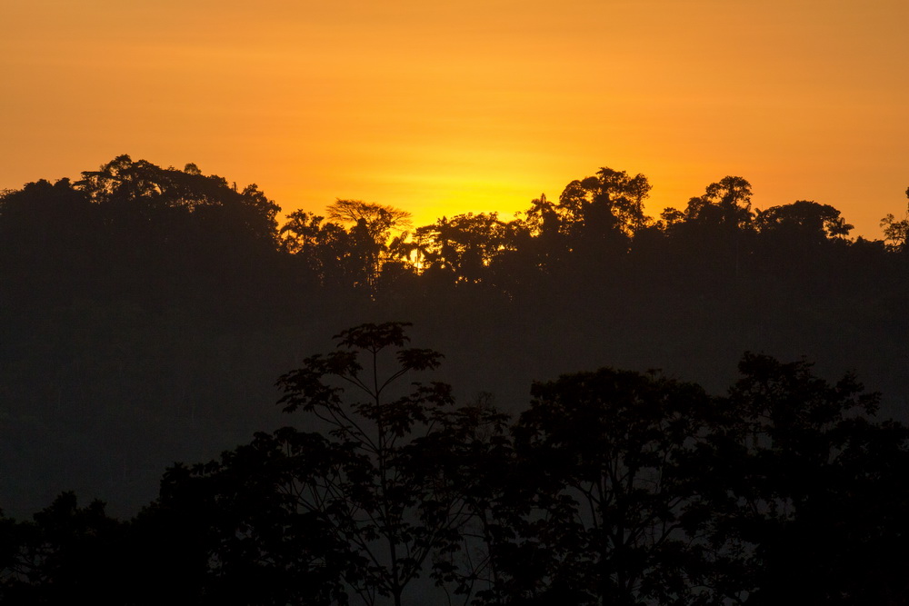 Manu Learning Centre Lodge: Marisol&#8217;s Trip, Aracari Travel