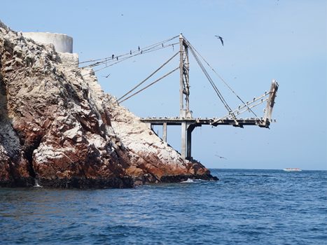 A Tour of the Ballestas Islands, Aracari Travel