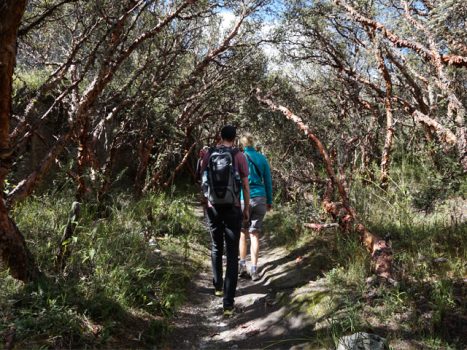 Hike to Laguna 69 in the Cordillera Blanca, Aracari Travel