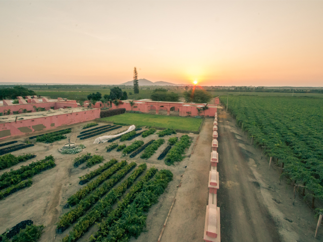 Hacienda Tacama