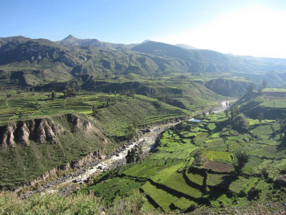 Exploring Colca Canyon in Peru, Aracari Travel