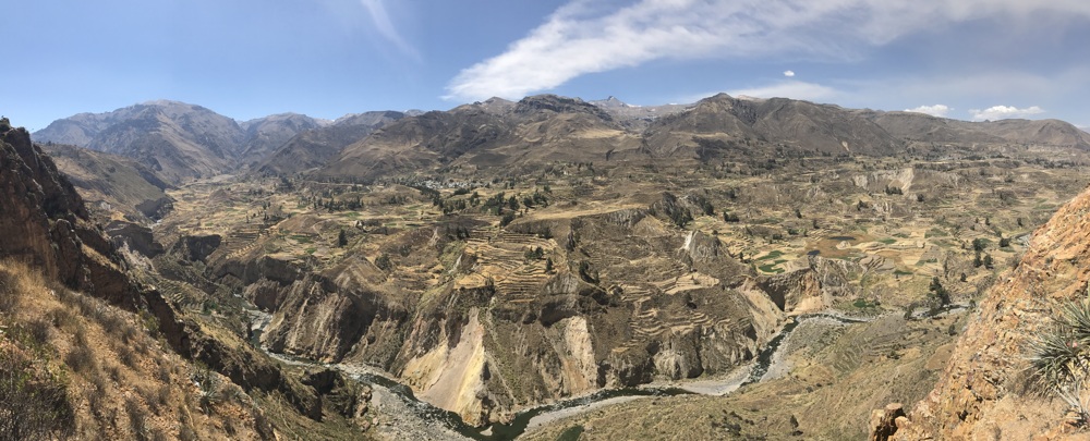 Colca Canyon Condors, Aracari Travel