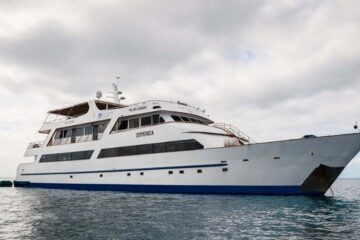 Luxury Galapagos Cruises, Aracari Travel