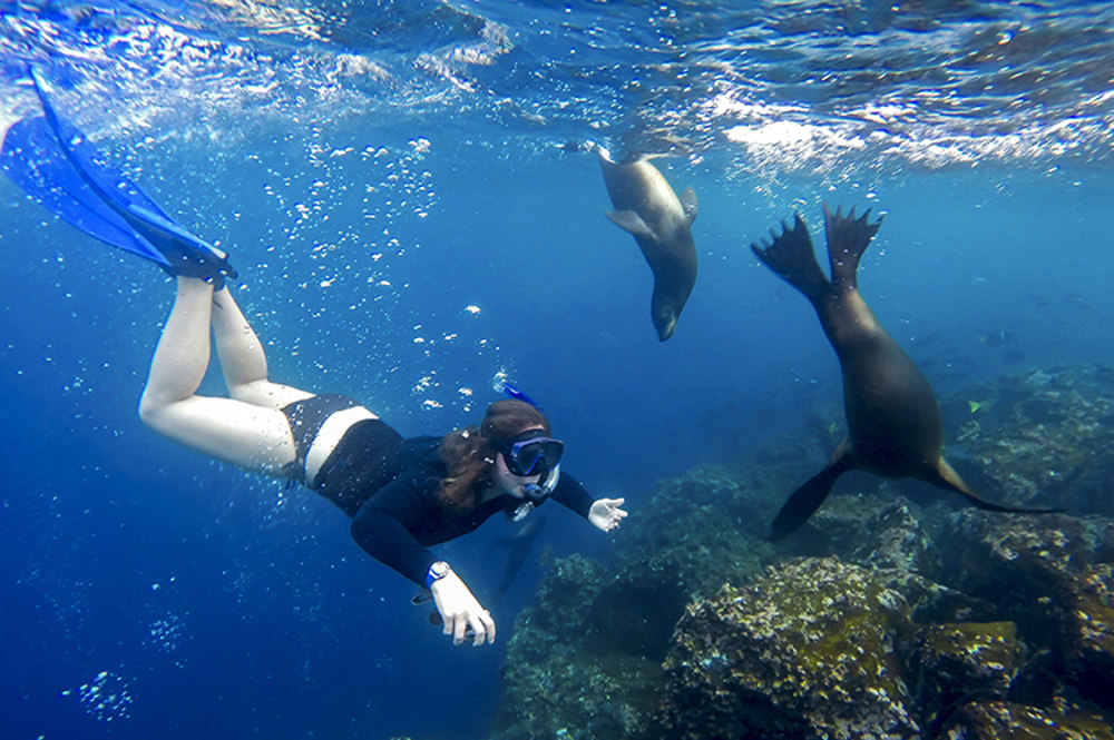 Santa Cruz Galapagos