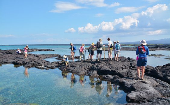 Santa Cruz Galapagos