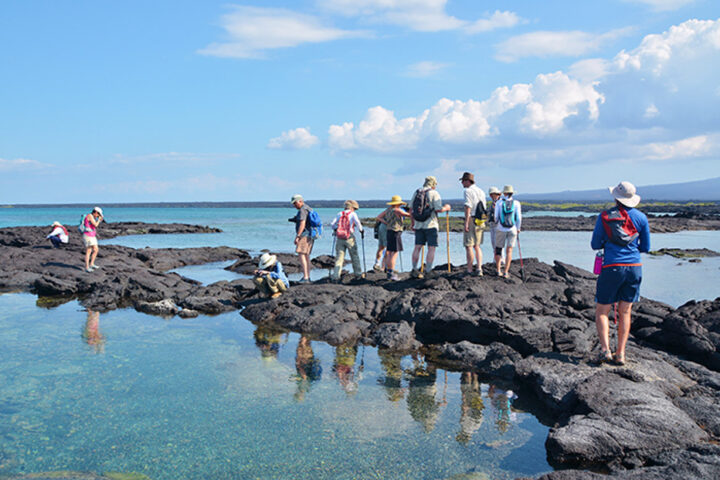 How to Plan a Trip to the Galapagos, Aracari Travel