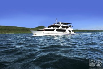 Luxury Galapagos Cruises, Aracari Travel