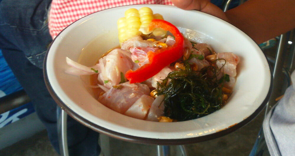 Happy National Ceviche Day!, Aracari Travel