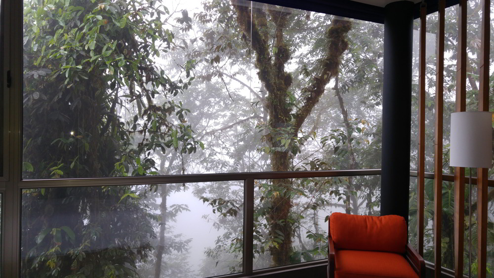 Mashpi Lodge Ecuador &#8211; Cloud Forest Escape, Aracari Travel