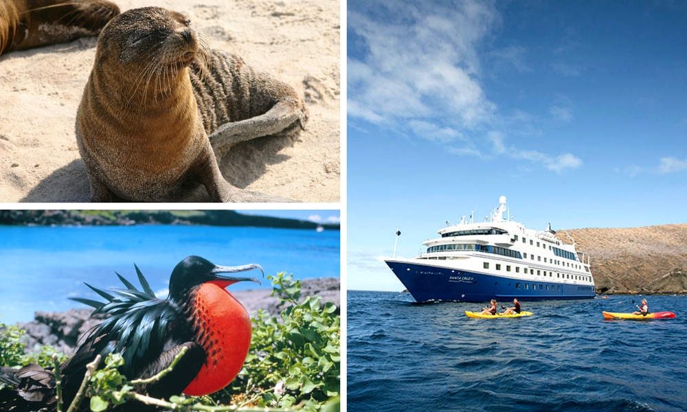 Santa Cruz II Review: Galapagos cruise, Aracari Travel