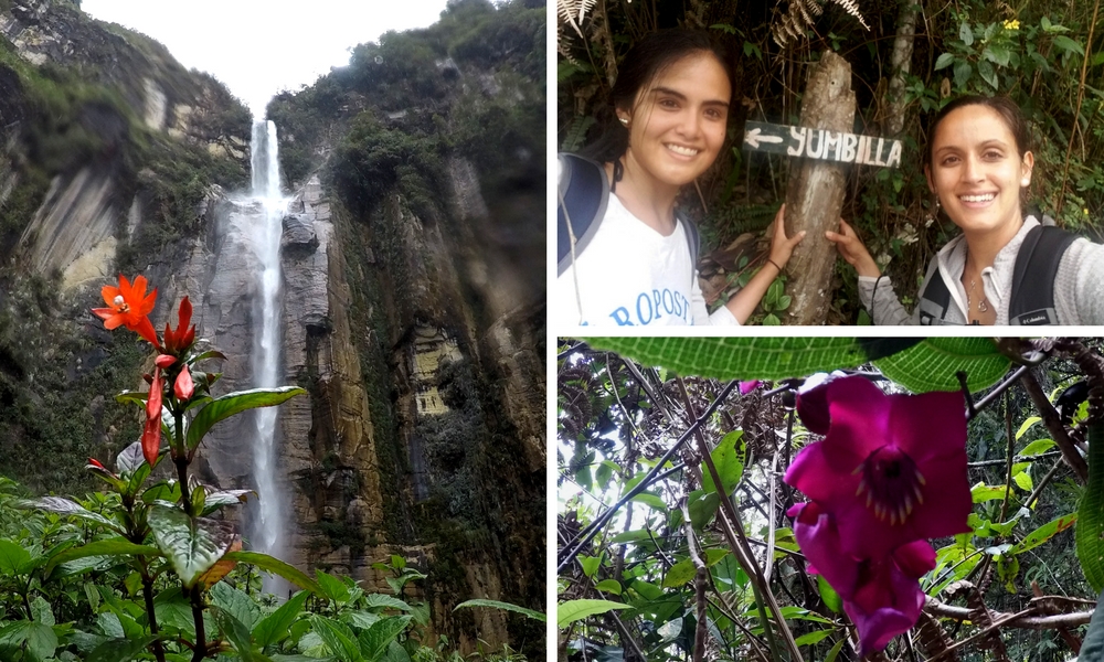 Yumbilla Waterfall Hike: A walk in the cloud forest, Aracari Travel