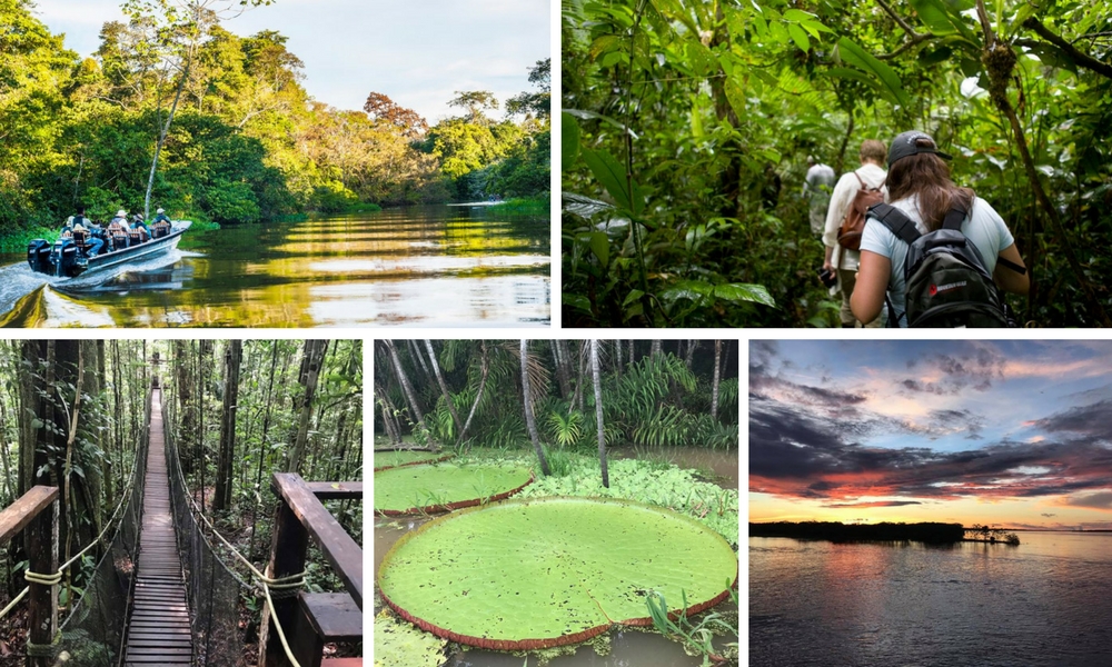 Aria Amazon Cruise: A Luxury Jungle Escape, Aracari Travel