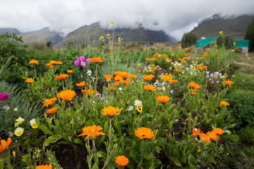 Churup Mountain Lodge 2