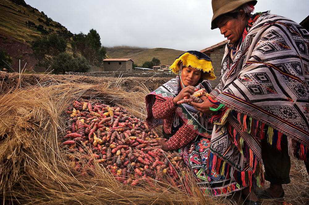 Peru culinary experience: Potato and Ají, Aracari Travel