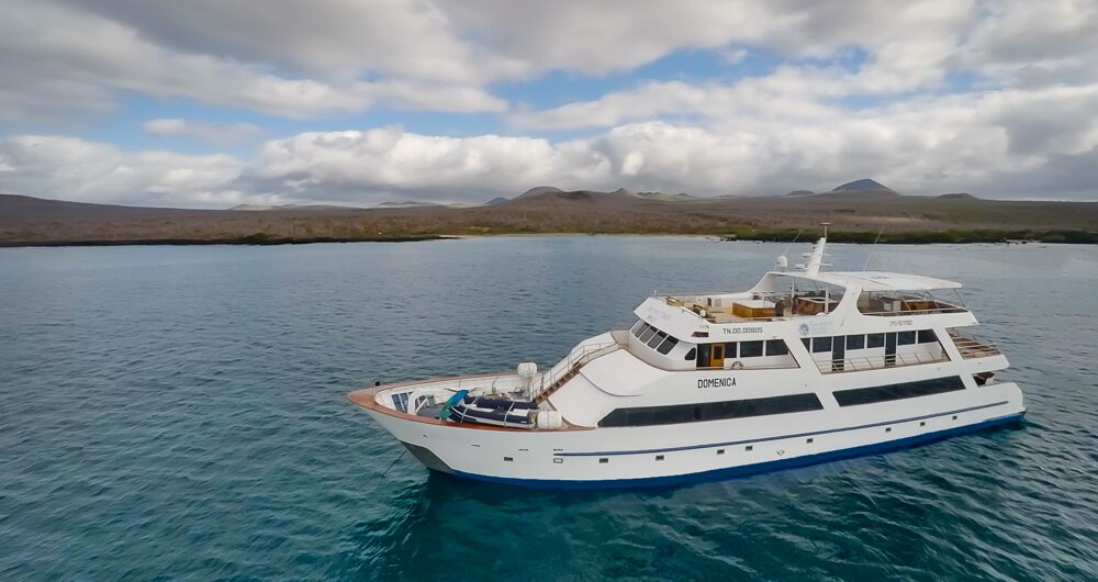 Galapagos Sea Star Journey: Cruise Review, Aracari Travel