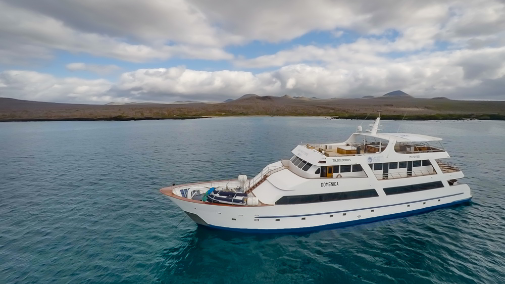 Galapagos Sea Star Journey: Cruise Review, Aracari Travel