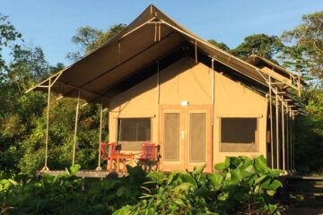 Scalesia Galapagos Lodge