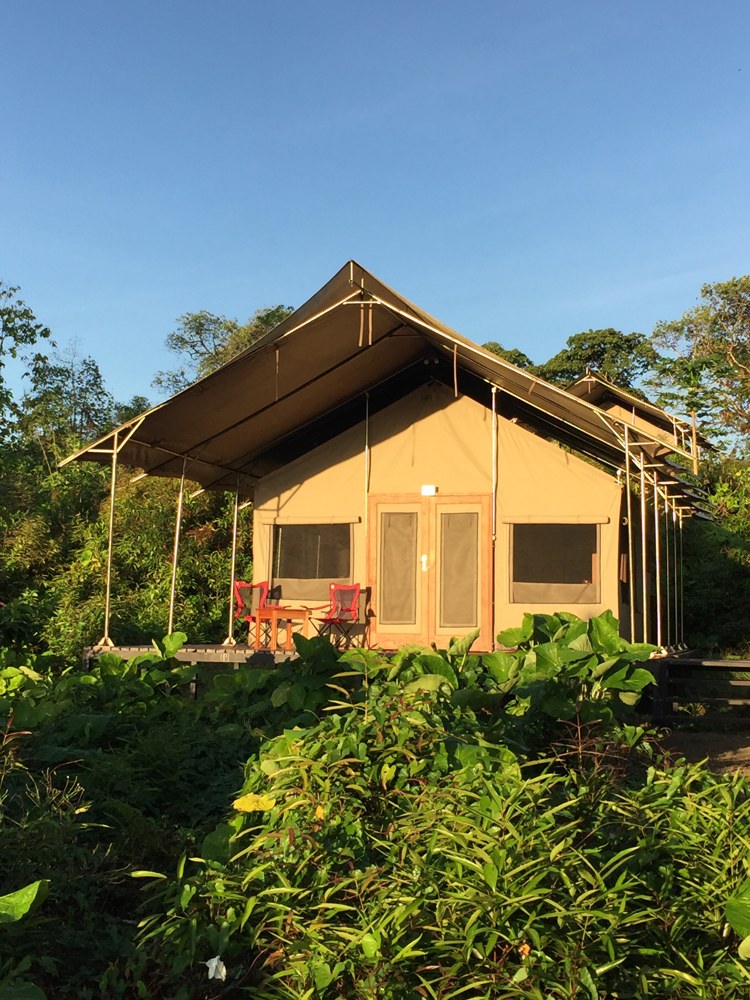 Scalesia Galapagos Lodge