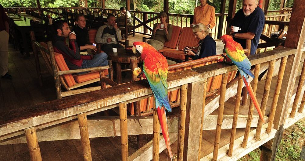 tambopata-research-center-wildlife luxury amazon lodge