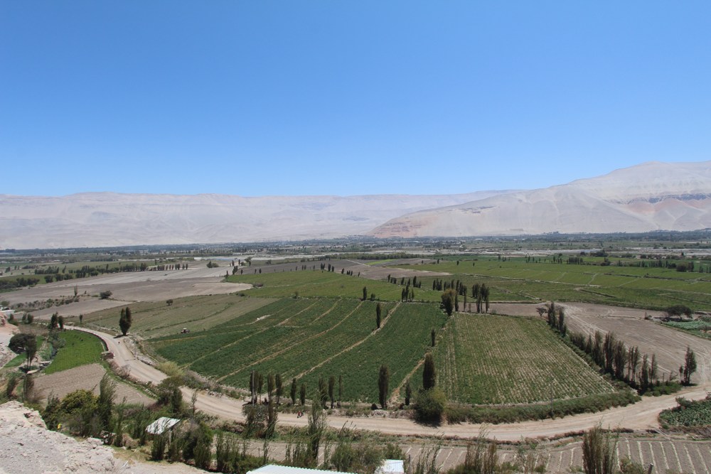 Arequipa&#8217;s Pisco Route, Aracari Travel