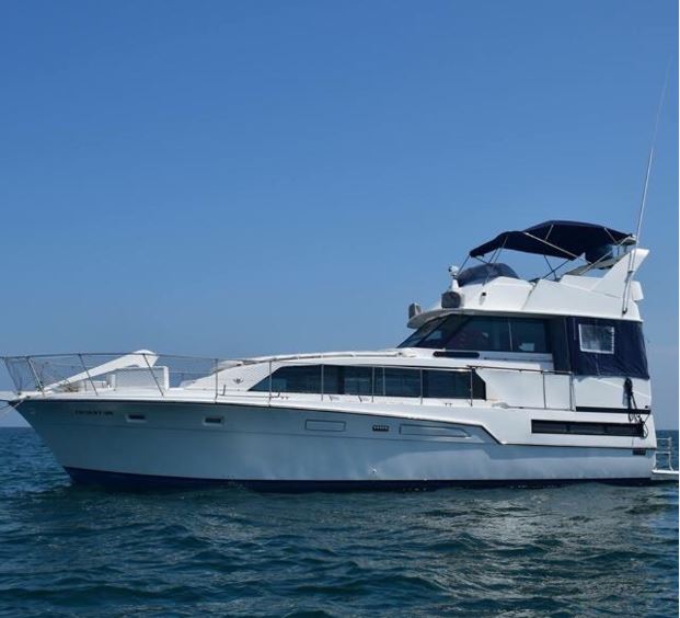 Whale Watching in Peru, Aracari Travel
